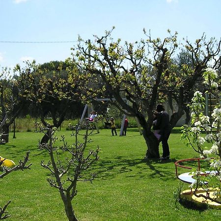 Agriturismo Arangea Lequile Exteriér fotografie
